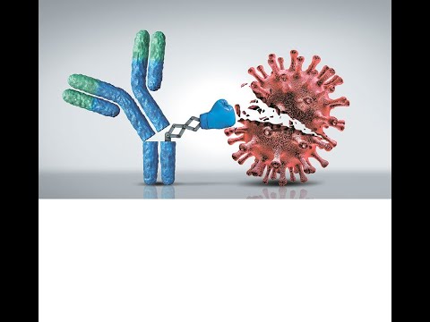 Antibodies on Demand, Inside the Booming Contract Manufacturing Market 2025