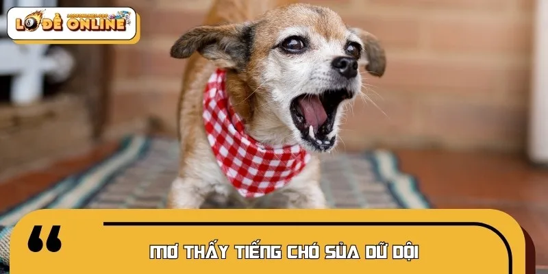 Tiếng chó sủa vang là lời cảnh báo về các mối nguy
